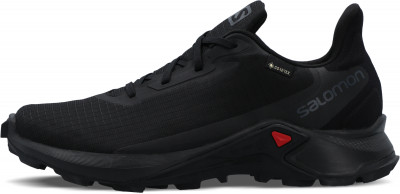 Кроссовки женские Salomon Alphacross 3 GTX W V5MZXNDSDU