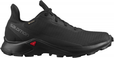 Кроссовки женские Salomon Alphacross 3 GTX W WBXO8BO5YD