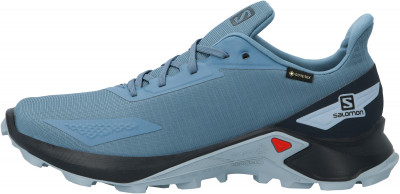 Кроссовки женские Salomon Alphacross Blast Gtx HZ1D7DBK0I