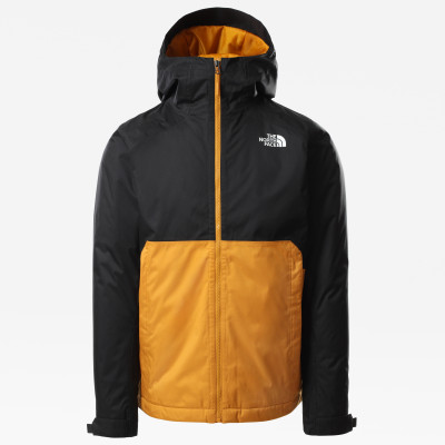 Куртка утепленная мужская The North Face Millerton 750HXHLU21