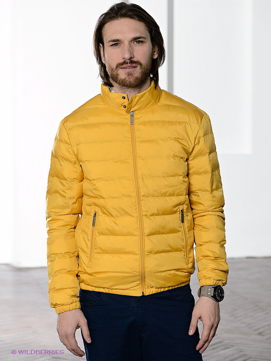 Крокус мужчина в желтой куртке. Куртка Baon мужская. Куртка Baon мужская осенняя. Куртка мужская Baon желтый. Baon куртка желтая.