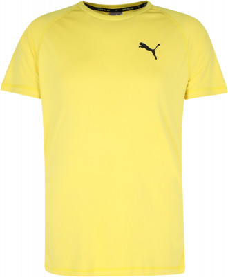 Футболка мужская Puma RTG Tee CDT8K0R1TF