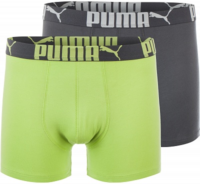 Трусы мужские Puma Basic Boxer 9070191-S