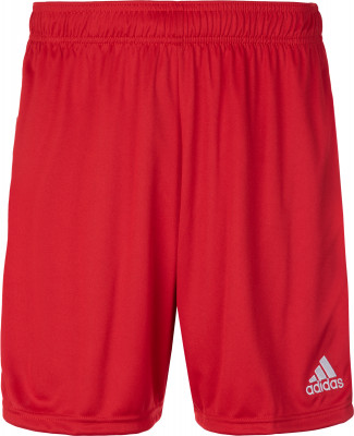 Шорты мужские Adidas Tastigo 19, размер L DP3681L