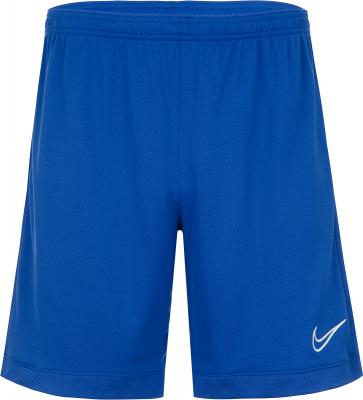 Шорты мужские Nike Academy AJ99943-XL