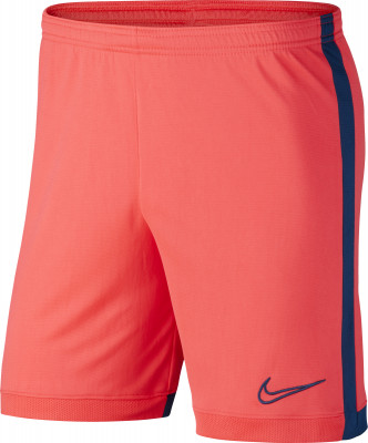 Шорты мужские Nike Dri-FIT Academy AX4PZMTP2Y