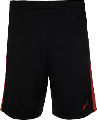 Шорты мужские Nike Dry 8325085-L