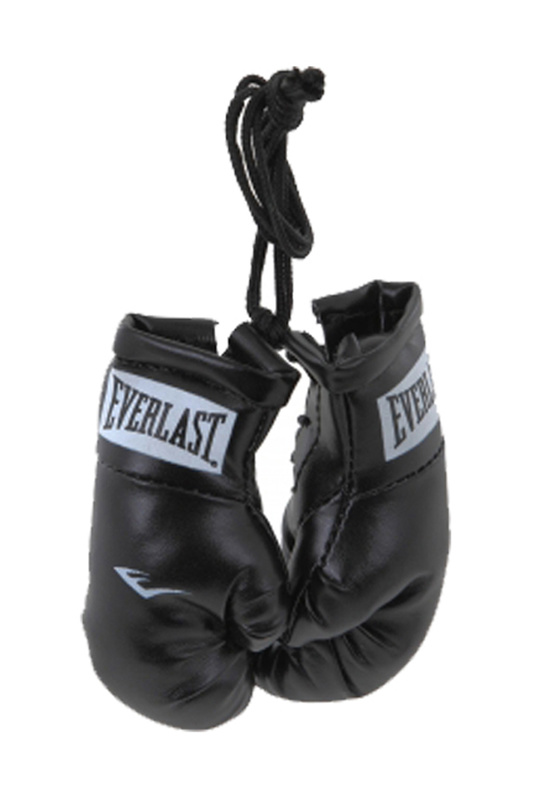 Брелок Mini Boxing Glove EVERLAST 800001